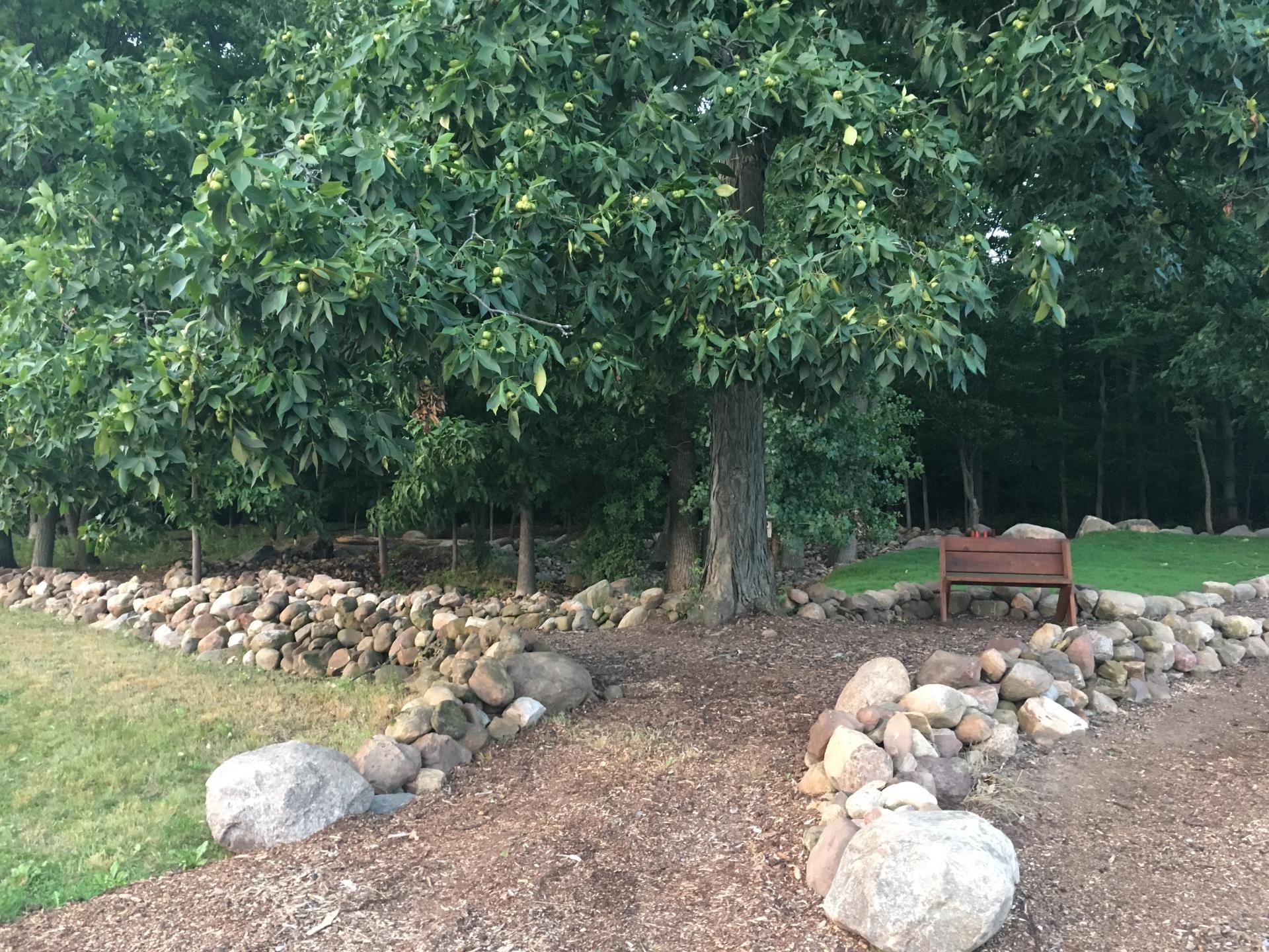 Green burial area entrance path