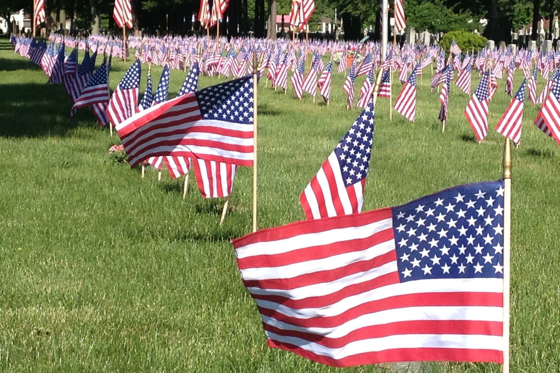 small flags in a row blowing in the wind